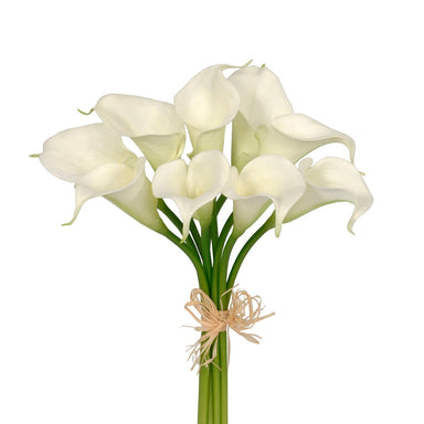 Calla Lily Bundle