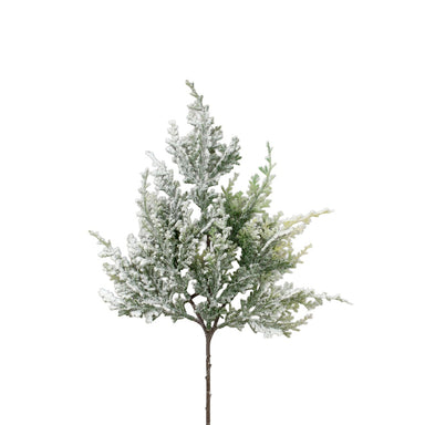Snow Cedar Pick