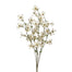 29 in Dogwood Spray - Cream