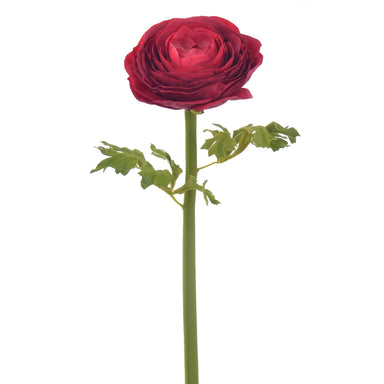 22" Ranunculus - Red