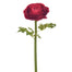 22" Ranunculus - Red