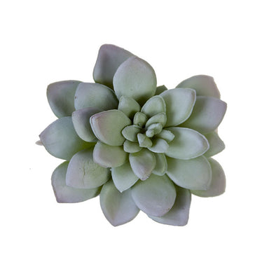 4 in Hen & Chick - Light Green