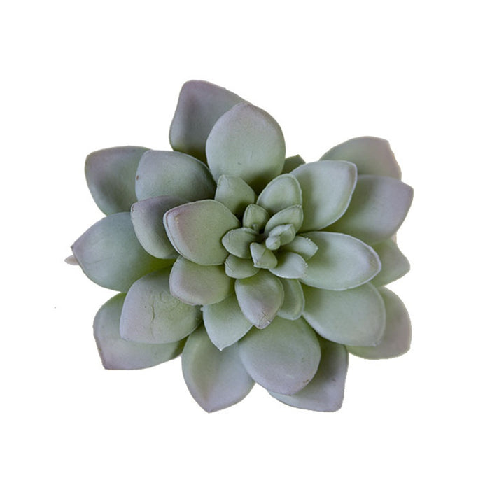 4 in Hen & Chick - Light Green