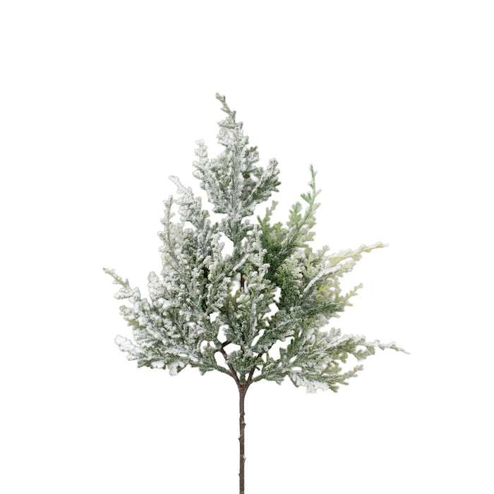 Snow Cedar Pick
