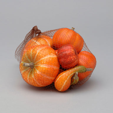 Pumpkin-Gourd In Mesh Bag