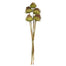 Artichokes on Stem
