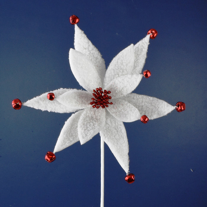 Poinsettia Stem