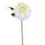 13 in Dahlia Short Stem - White