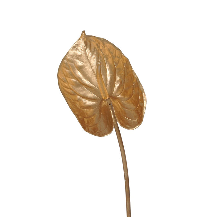 Metallic Anthurium - Gold