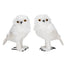 9 3/4 in Fabric/Styro Owl w/Glitter, Assortment of 2 Facing Left & Right - White