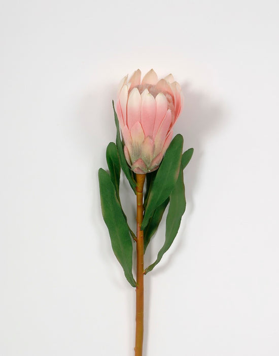 26 in Protea Spray - Pink