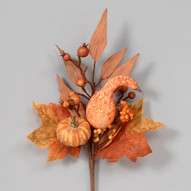 Fall Gourd/Berry Pick