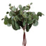 Round Eucalyptus Bundle - Green
