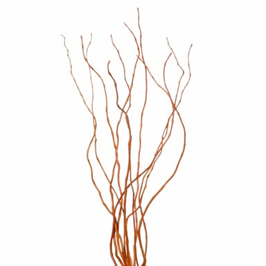 Curly Willow Tips