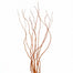 Curly Willow Tips