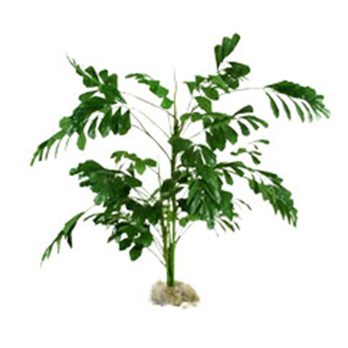 66 in Sugar Palm - Two Tone Green