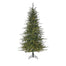 12' Fieldstone Spruce Tree - Green