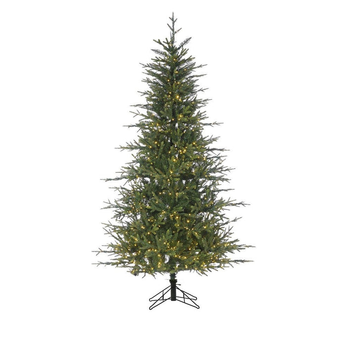 12' Fieldstone Spruce Tree - Green