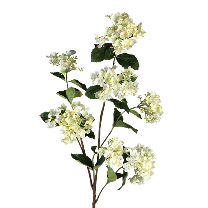 Hydrangea Spray