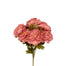 Peony Bush & Filler - Dusty Coral