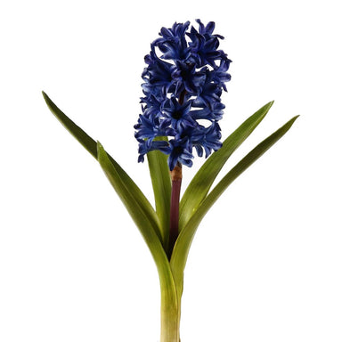 12.5 in Hyacinth w/Leaves - Blue