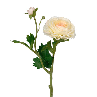 13" Ruffle Ranunculus - Cream