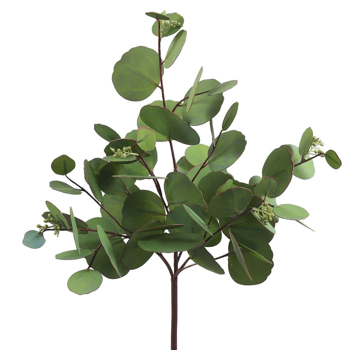 21" Round Eucalyptus Branch - Grey/Green