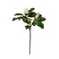 31 in Bud Magnolia - Two-Tone White