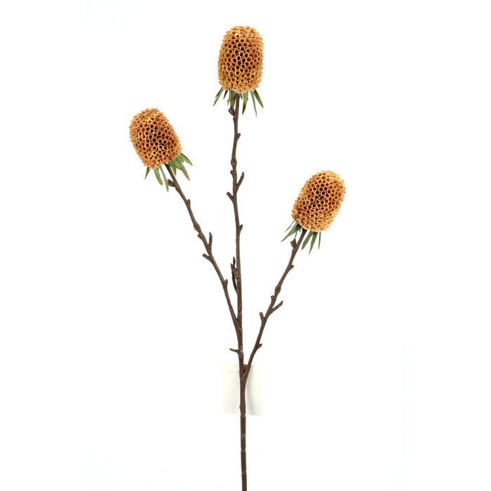29 in Artificial Banksia Stem - Yellow