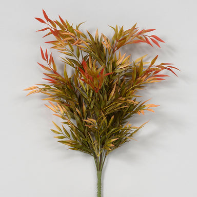 18" Arundinaria Bush