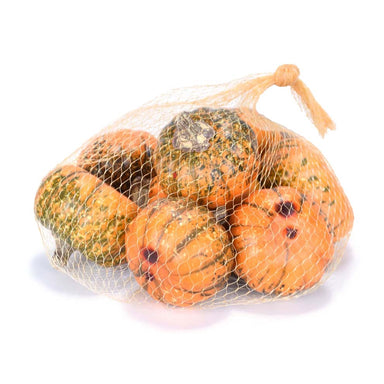 Pumpkin (Bag of 8) - Orange/Green