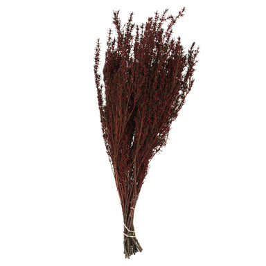 22-26" Red Grabia 5-6 oz Bundle