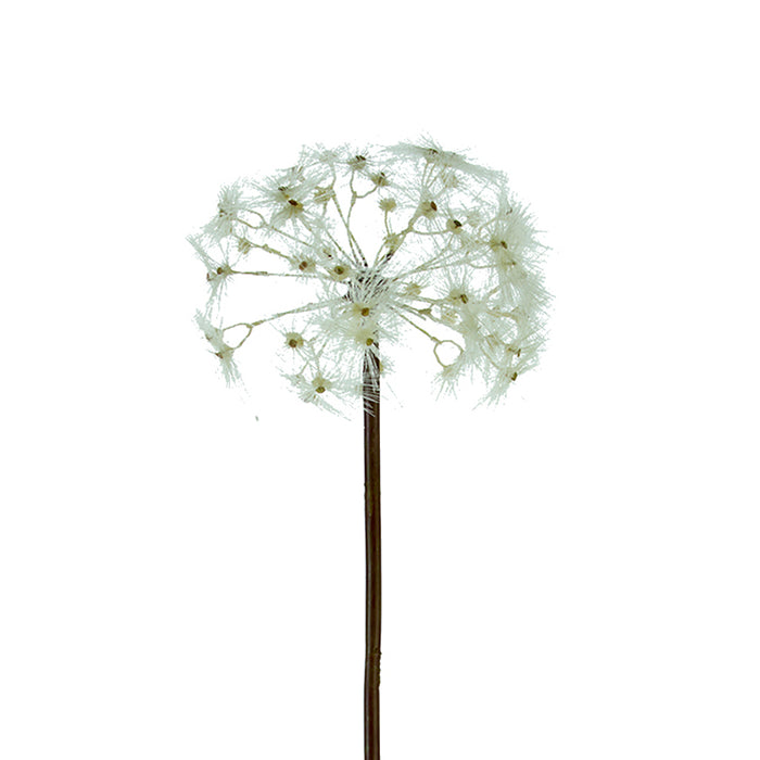 43 In Dandelion Spray Cream