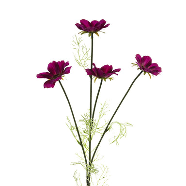 30 In Cosmos Purple