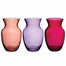 8" Rose Vase - Passionfruit Assortment