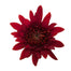 Pomps