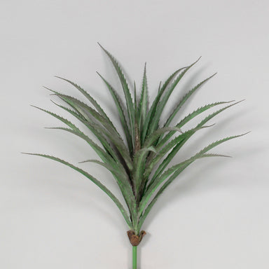 20"L Pe Pandan Leaf Plant - Pink/Green