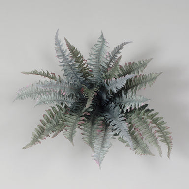18" Polyester Fall Boston Fern Bush - Frosted/Green