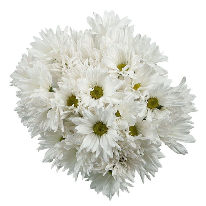 Pomps