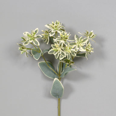 18"L Polyester Variegated Euphoria X 4 - Green